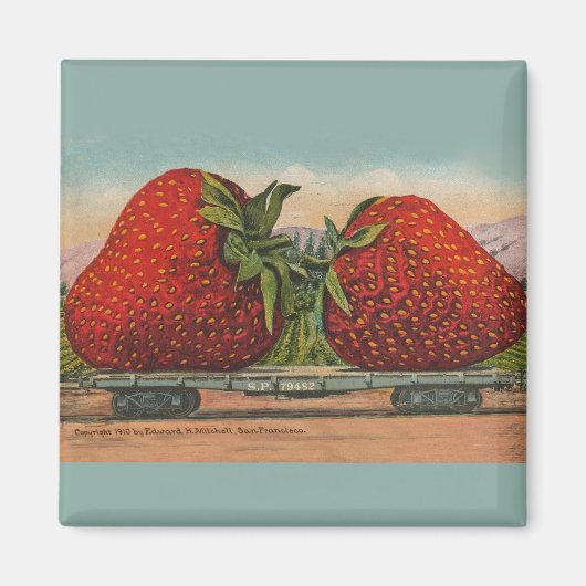 Aardbeien Giant Antiek Fruit Magneet (Voorkant)