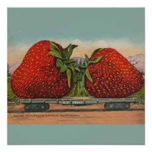 Aardbeien Giant Antiek Fruit Perfect Poster