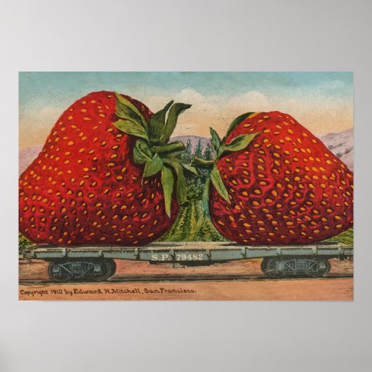Aardbeien Giant Antiek Fruit Poster (Voorkant)