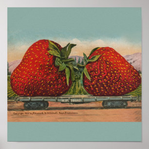 Aardbeien Giant Antiek Fruit Poster