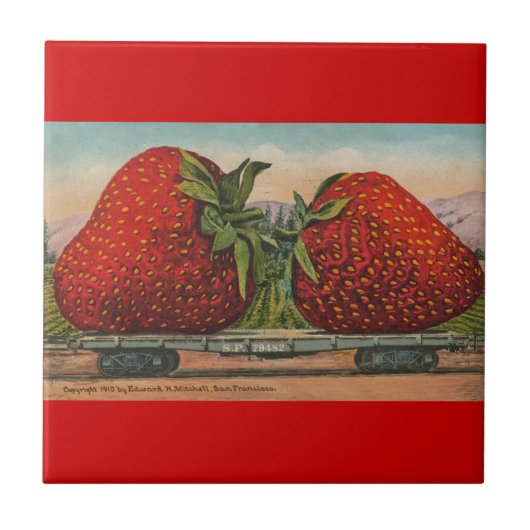 Aardbeien Giant Antiek Fruit Tegeltje (Voorkant)