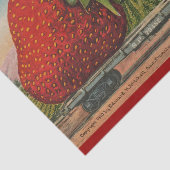 Aardbeien Giant Antiek Fruit Tissuepapier (Detail)