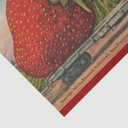 Aardbeien Giant Antiek Fruit Tissuepapier (Detail)
