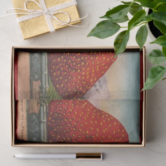 Aardbeien Giant Antiek Fruit Tissuepapier (Geschenk)