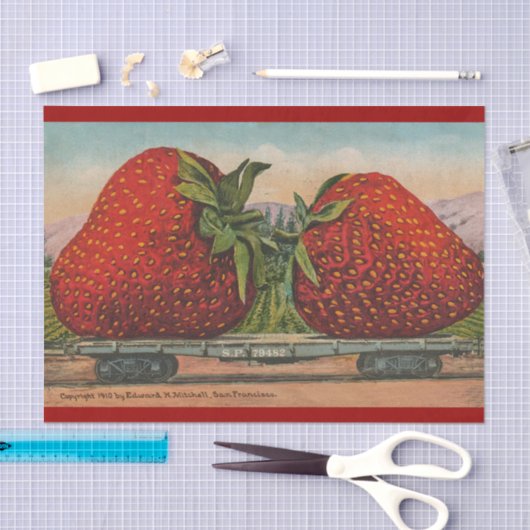 Aardbeien Giant Antiek Fruit Tissuepapier (Craft)