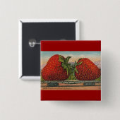 Aardbeien Giant Antiek Fruit Vierkante Button 5,1 Cm (Voorkant /achterkant)