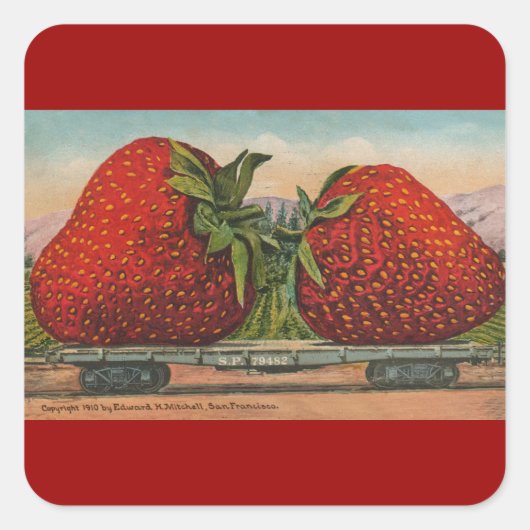 Aardbeien Giant Antiek Fruit Vierkante Sticker (Voorkant)