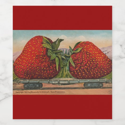 Aardbeien Giant Antiek Fruit Wijn Etiket (Enkel label)