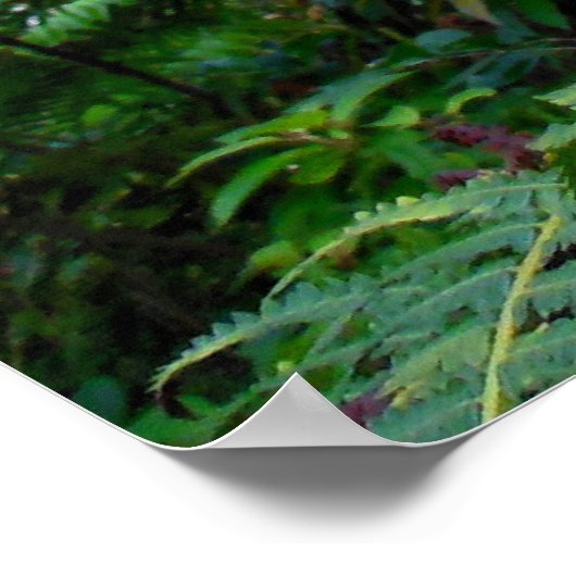 Aardbeien Guava Trees Poster (Hoek)