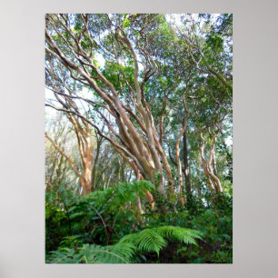 Aardbeien Guava Trees Poster