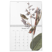 Aardbeien in het wild levende dieren 2018-2019 Age Kalender (Jan 2027)