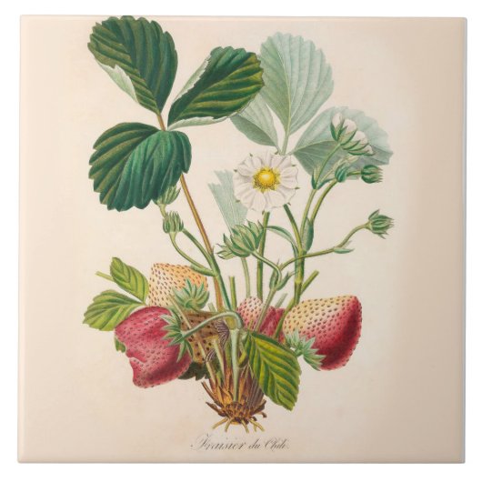 Aardbeien keramische tapijten keukenaccessoire tegeltje (Voorkant)