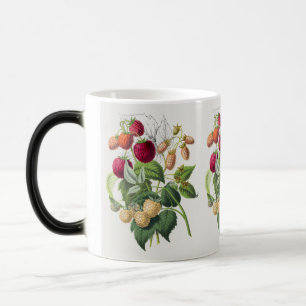 Aardbeien koffie mok