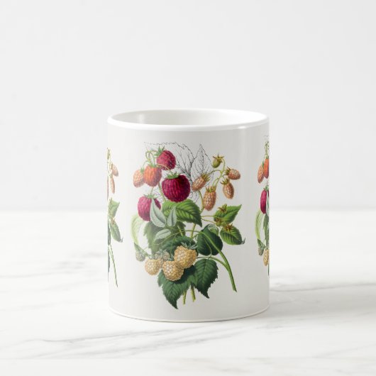  Aardbeien koffie mok (Center)