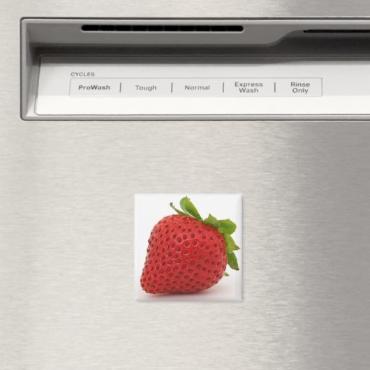 Aardbeien magneet decor (Insitu (Vaatwasser))