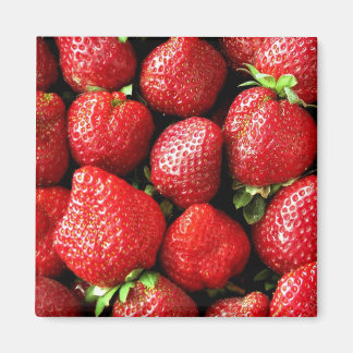 aardbeien Magnet