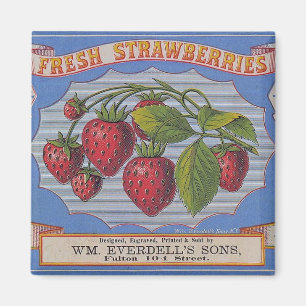  aardbeien Magnet