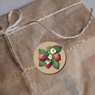aardbeien NO2 Ronde Sticker