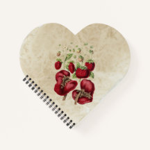  aardbeien op een oud papier
