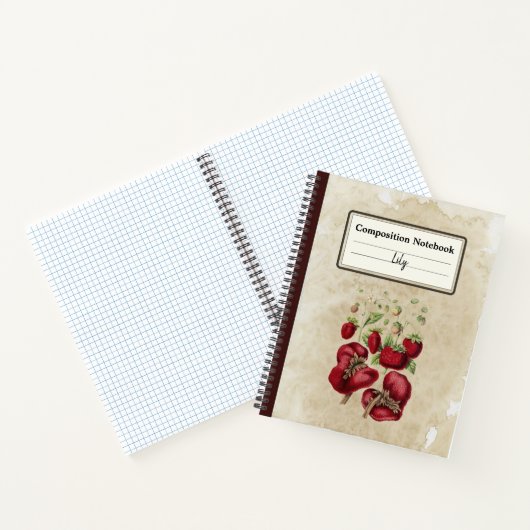 aardbeien op een oude papieren compositie notitieboek (Binnen)