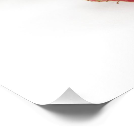 Aardbeien op wit foto afdruk (Hoek)