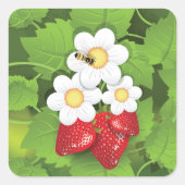 Aardbeien Plant Vierkante Sticker (Voorkant)