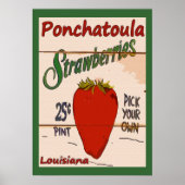 Aardbeien Ponchatoula Poster (Voorkant)