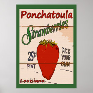 Aardbeien Ponchatoula Poster