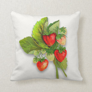 Aardbeien, realistische  botanische tekening kussen