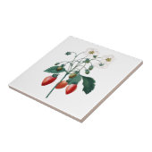 Aardbeien Redoute botanische keramische tegel Tegeltje (Zijkant)