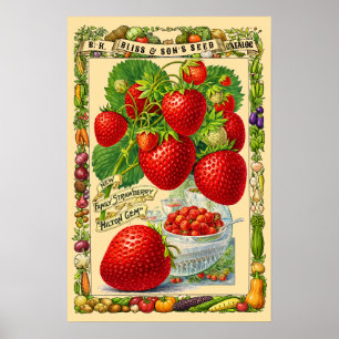 Aardbeien Retro Victoriaanse Tijdperk Botanische K Poster
