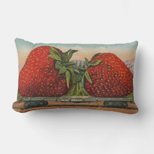Aardbeien Reus Antieke Fruit Plezier Kussen