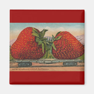 Aardbeien Reus Antieke Fruit Plezier Magneet