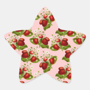 aardbeien ster sticker