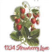 Aardbeien sticker voor op de brievenbus (Voorkant)