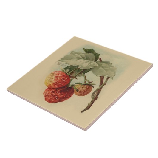 aardbeien tegeltje (Zijkant)