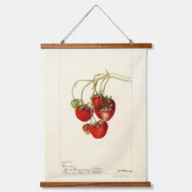 aardbeien Tekening Kunst