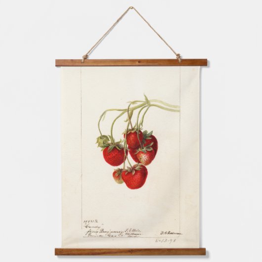  aardbeien Tekening Kunst Hangend Wandkleed (Voorkant)