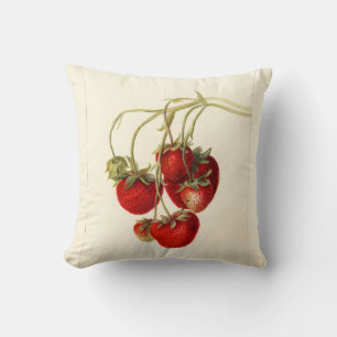 aardbeien Tekening Kunst Kussen