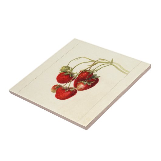 aardbeien Tekening Kunst Tegeltje (Zijkant)