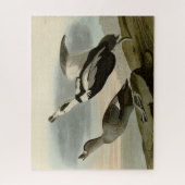 Aardbeien van Amerika (Labrador Duck) Legpuzzel (Verticaal)