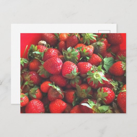 Aardbeien | verse rode bessen briefkaart (Voorkant / Achterkant)