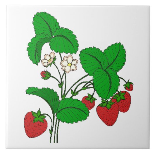 Aardbeien voor ontbijt tegeltje (Voorkant)