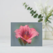 Aardbeienblauw - Daylily Briefkaart (Staand voorkant)