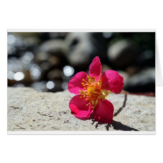 Aardbeienbloem Briefkaart (Voorkant Horizontaal)