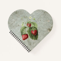 Aardbeienbloemen en vruchten