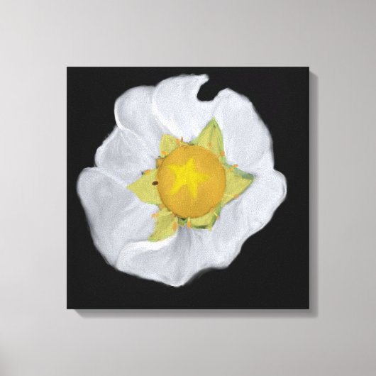 Aardbeienbloesem uitgerekt doek canvas afdruk (Voorkant)