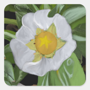 Aardbeienbloesem Vierkante Sticker