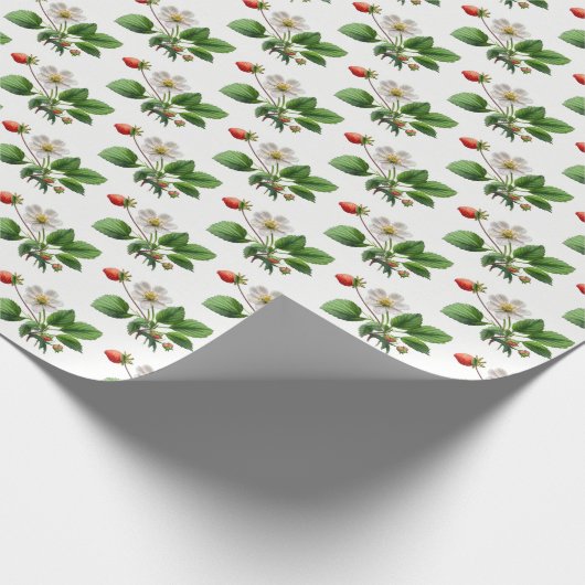 Aardbeienbloesems op wit cadeaupapier (Hoek)