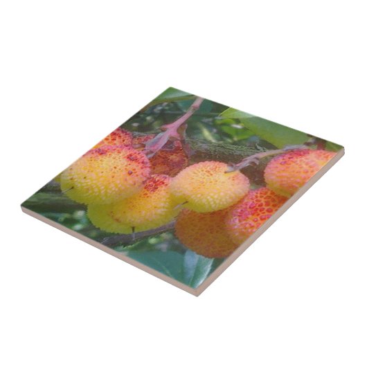 Aardbeienboomfruittegel Tegeltje (Zijkant)